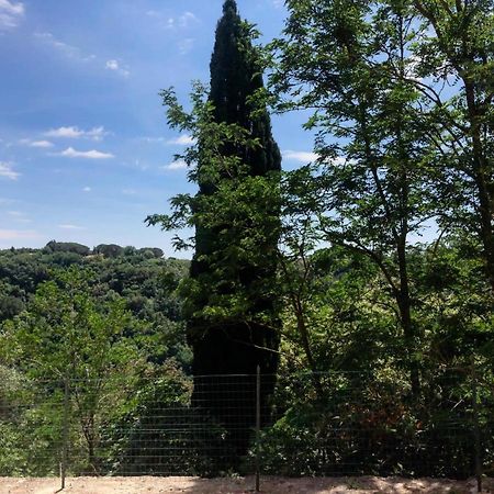 La Casa All'Oliveto Pitigliano Bagian luar foto